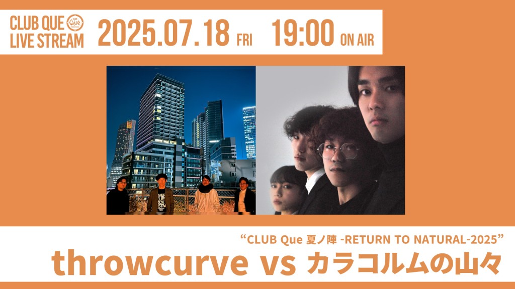 throwcurve vs カラコルムの山々